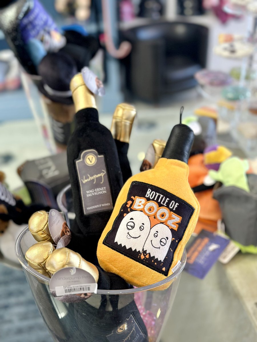 No tricks here 🎃… just treats! Did you know when you shop at our rescue center, 100% of the profits go back to our 501(c)(3) nonprofit?! Come visit us this week and get some fun Halloween treats for your pup!