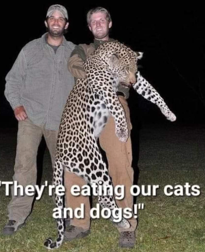 managehours's tweet photo. I HAITI to say it, but I love this- 'Funniest thing I've seen all day- and they've had #LOLdonOLD #TrumpIsALaughingStock on since he and the #tRUMPCRIMEfamily BLEW the #doggystyle & #CatScratchFever thang https://t.co/EjPDNtKmKr