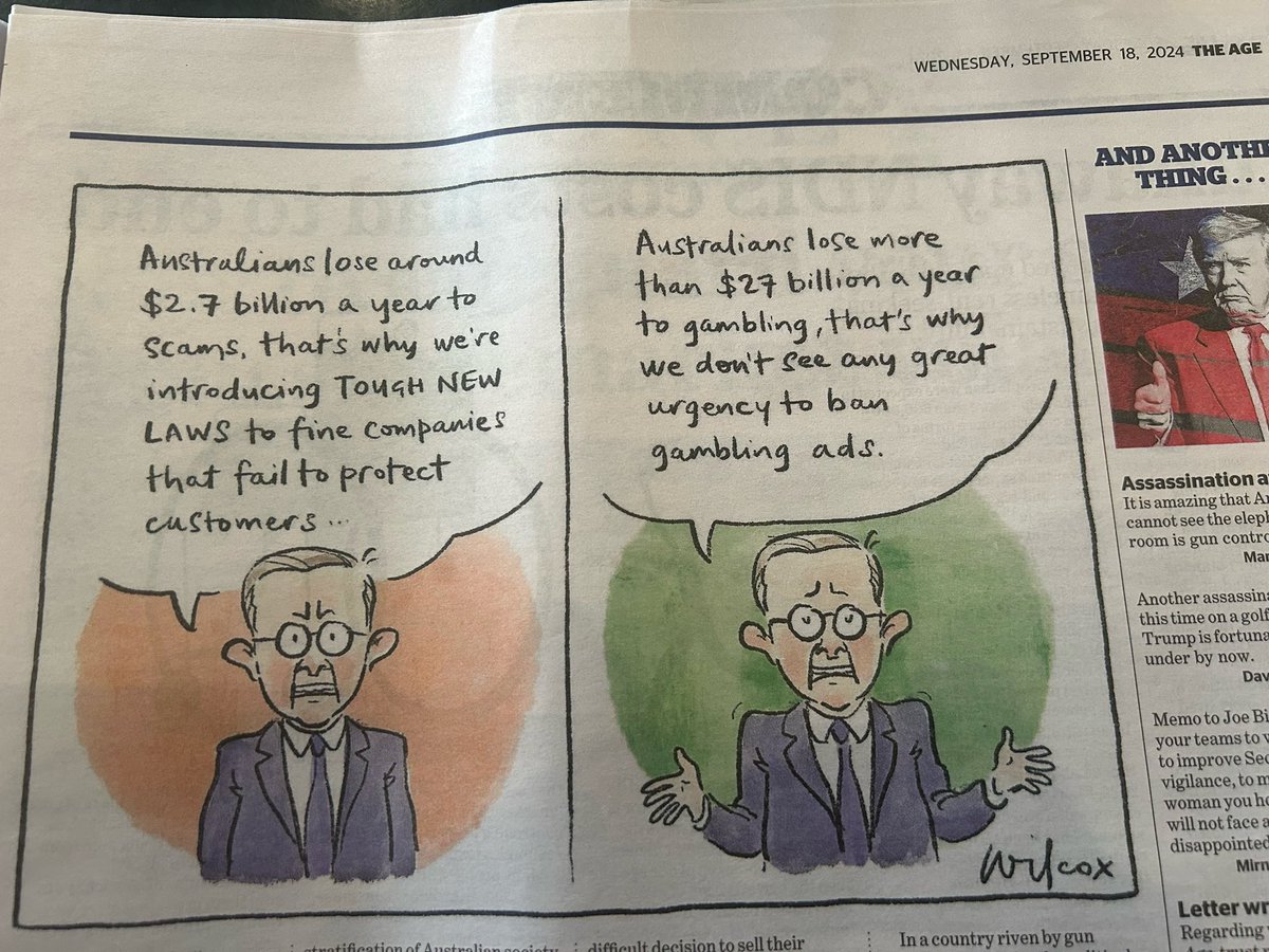 Zoe Daniel (she/her) tweet media