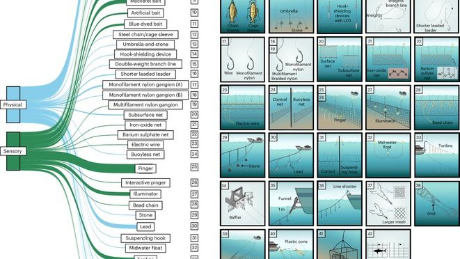 meta-analysis quantified effects of 42 mitigation measures on target catch &amp; #bycatch #seabirds, #sharks #rays #cetaceans #seaturtles #RFMO Huang et al (2024) bmis-bycatch.org/references/j9f… <a href="/Biomarine_fr/">Yannick C.</a>