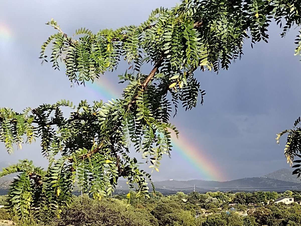 Atheria's tweet image. Double rainbow! 
🌈🌈
#rainbow #rainbows #SantaFeNM #SantaFe #NewMexico #doublerainbow