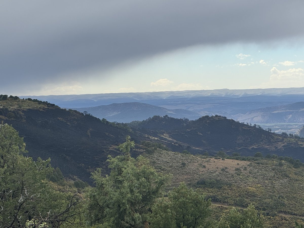 All areas within the Tschuddi Fire Emergency Closure will reopen to the public on September 18. 

Please use caution around burn areas, roads and trails can become unstable and mudslides can occur when precipitation is present.