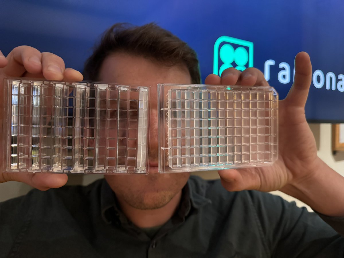 Where do you see 3D behavior in your #zebrafish research?
