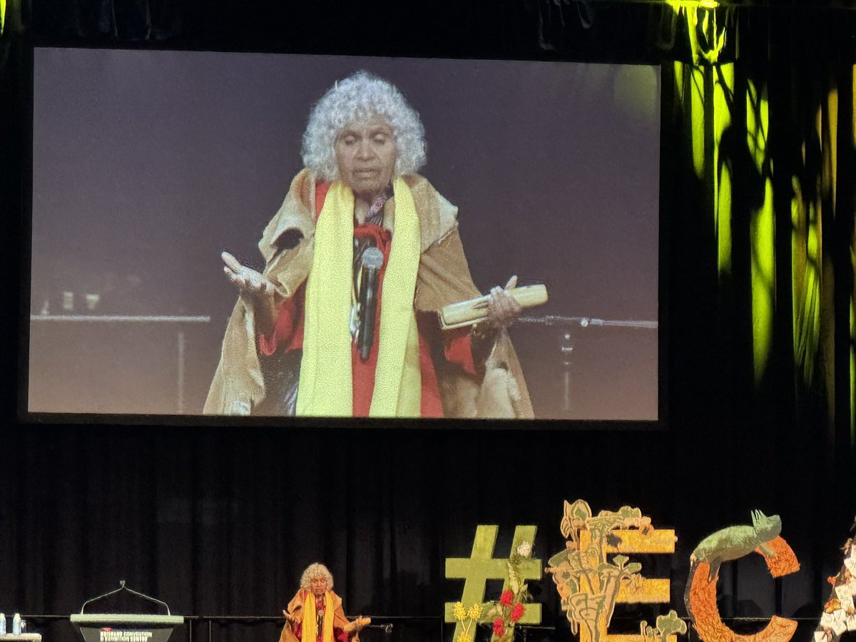 EarlyYearsCEWA tweet media