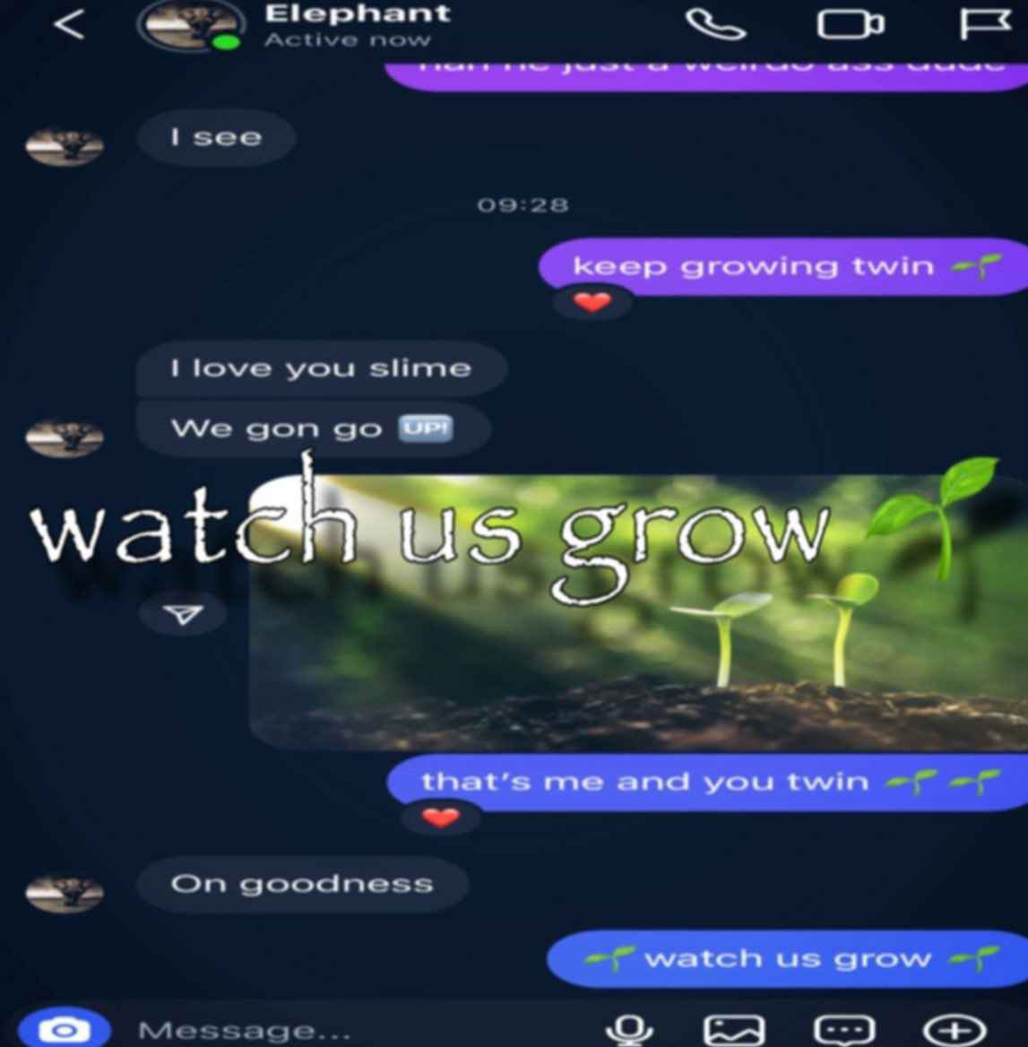 Salad ! ☆ ໒꒱ ‧₊˚ tweet media