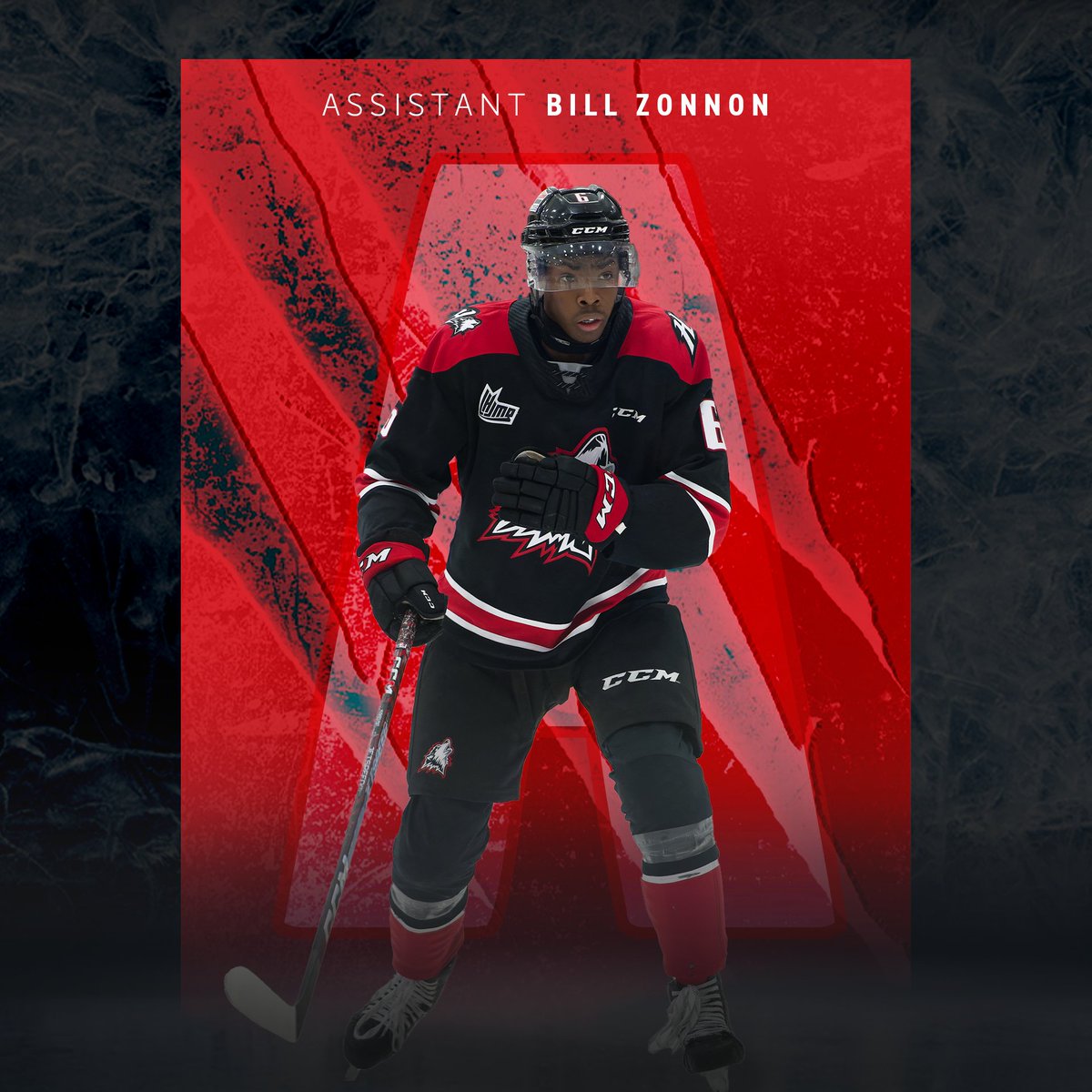 🚨🚨 CAPITAINE ET ASSISTANTS 🚨🚨

Nous sommes fiers de vous annoncer le capitaine et les assistants pour la saison 2024-2025

#HuskiesRN #LaVilleEstHuskies