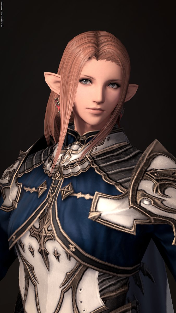 PonzuPowder's tweet photo. #Elezen #エレメス https://t.co/tOGW6YlTTz