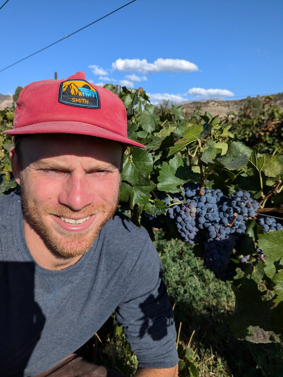 Ben Justman🍷 tweet media