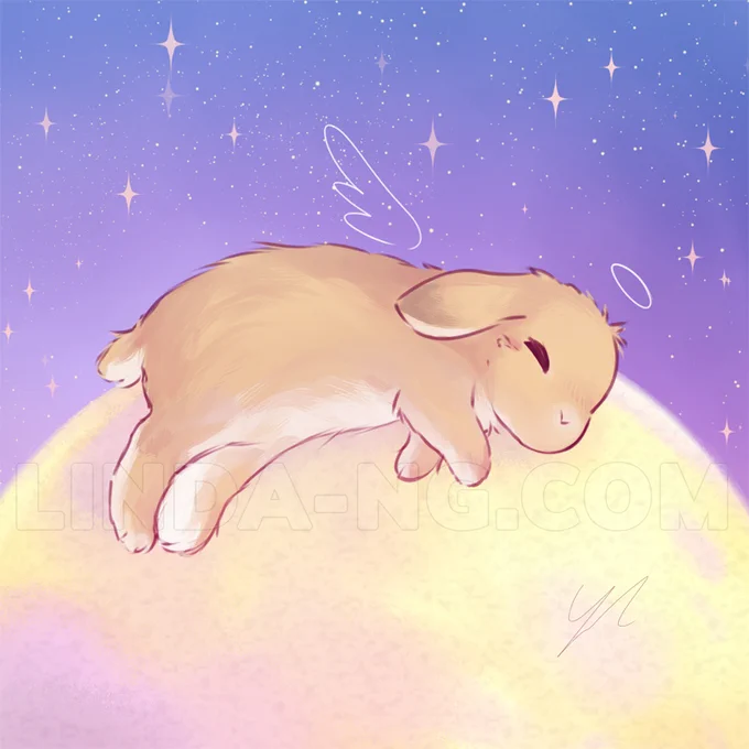 Bunny went to the moon.  