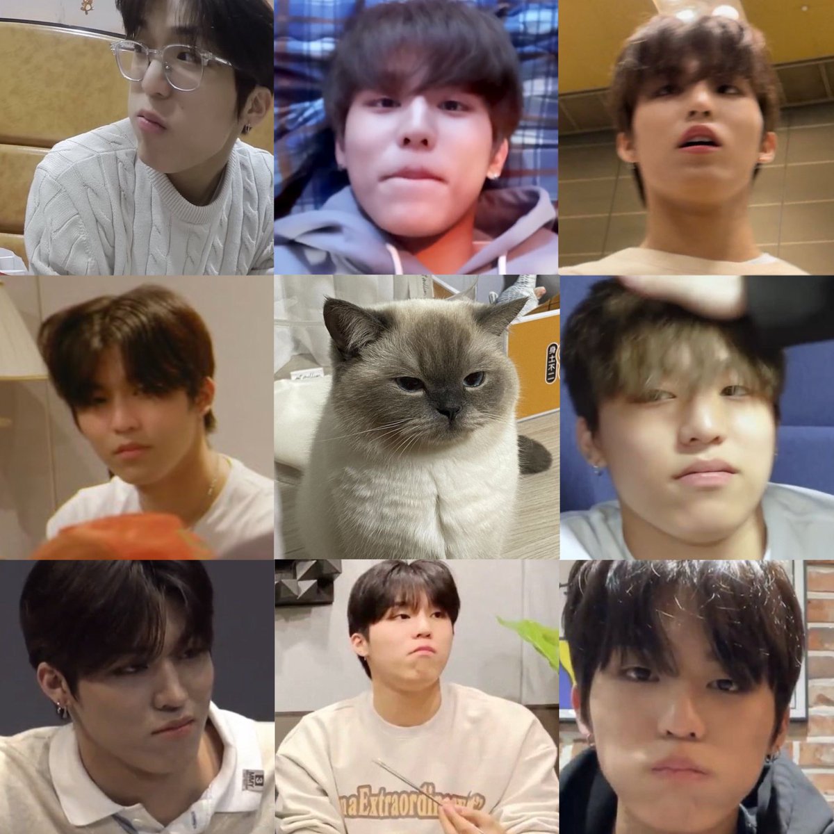 ⌗ คอตตอน ⌗ 💭 tweet media