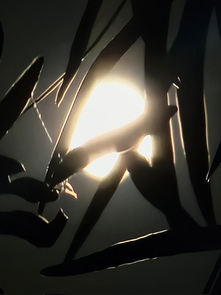 :

The Harvest Moon is shining bright tonight! Step outside and enjoy the glow! 🌕✨  #HarvestMoon #FullMoon #HarvestFullMoon
#Harvest24 #Supermoon