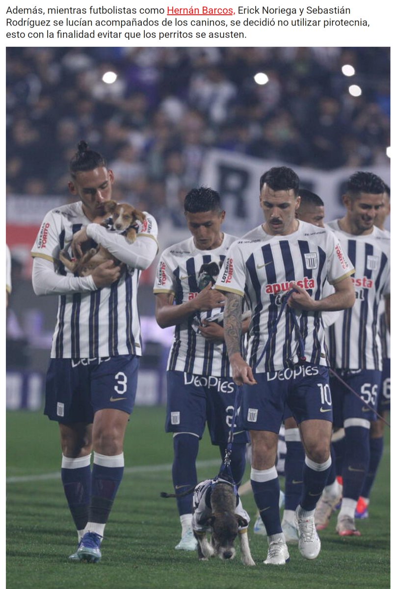 Muy bien que tomen conciencia de que la pirotecnia es dañina. Ojalá todos sigan ese ejemplo de consideración.