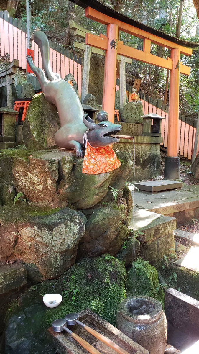 Davecko's tweet image. We hiked Fushimi Inari mountain, got an amazing kaiseki for our anniversary (specializes in tofu!), and got to feed/pet TANUKIS &amp;lt;3