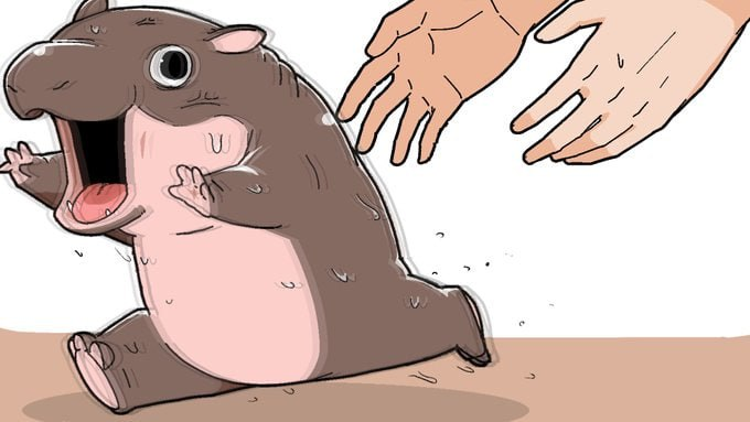 Sloom_Dog12's tweet image. Everyone loves Moo Deng   #moodeng #หมูเด้ง