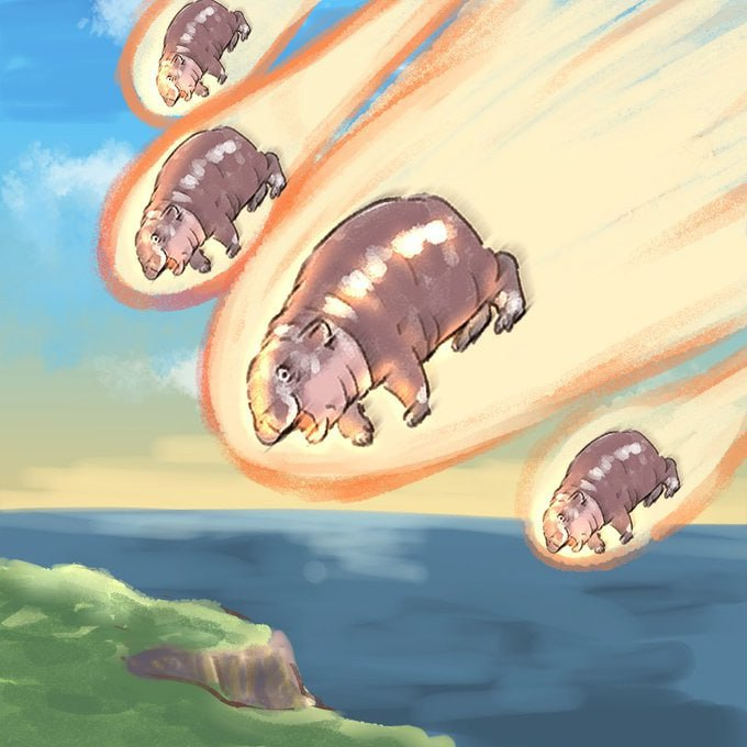 Sloom_Dog12's tweet image. Everyone loves Moo Deng   #moodeng #หมูเด้ง