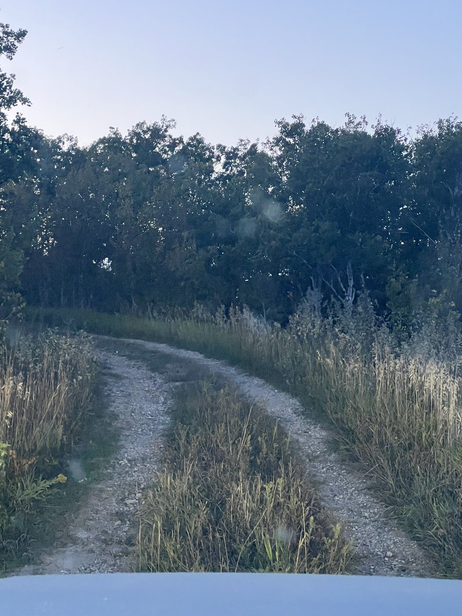 Matt Yanick tweet media