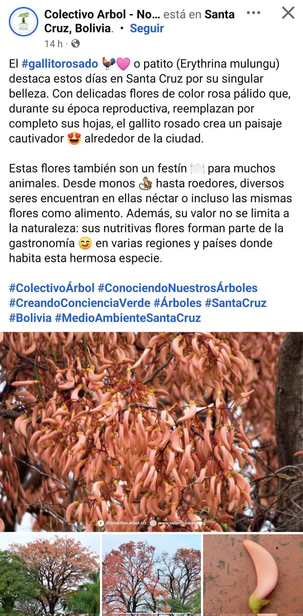 Luis Recalde tweet media