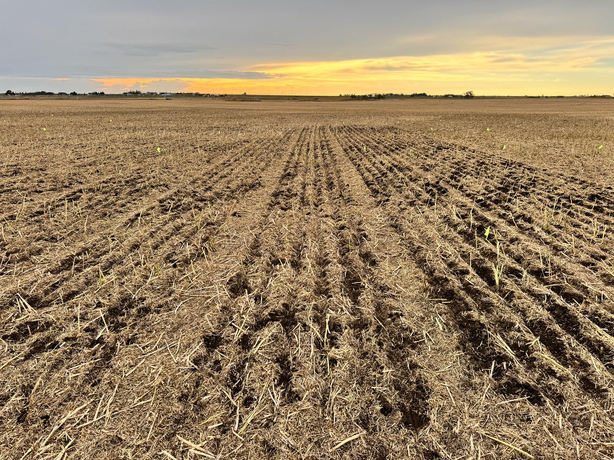 MAGresearch tweet media