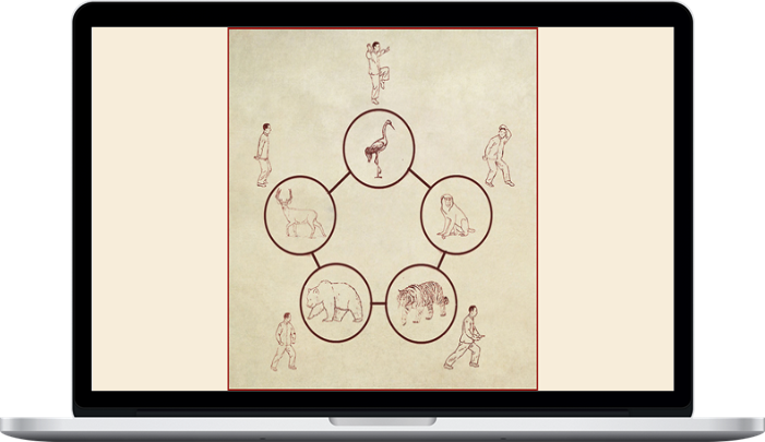 fitnesscourse1's tweet photo. Download Tom Bisio – Five Animal Play Qi Gong Online Learning Program
LINK DOWNLOAD: https://t.co/EAlga1X1g0
@fitnesscourse1 #onlinecourse #fitnesscourse #Gym #Sports #Nutrition #Dieting #Yoga #fitness #WeightLoss #gymlife #gymtips #gymforbeginners #deadlift #sumodeadlift https://t.co/1WfYyaProj