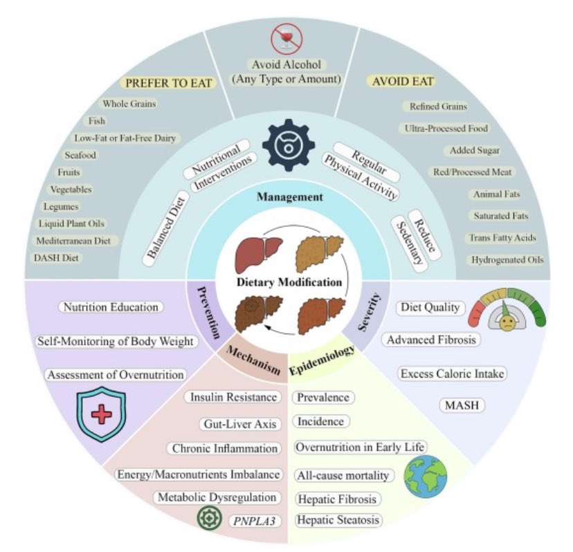 🙌 Hot off the press:

 “The role of dietary modification in the prevention and management of metabolic dysfunction-associated fatty liver disease: An international multidisciplinary expert consensus”

👉
sciencedirect.com/science/articl…
