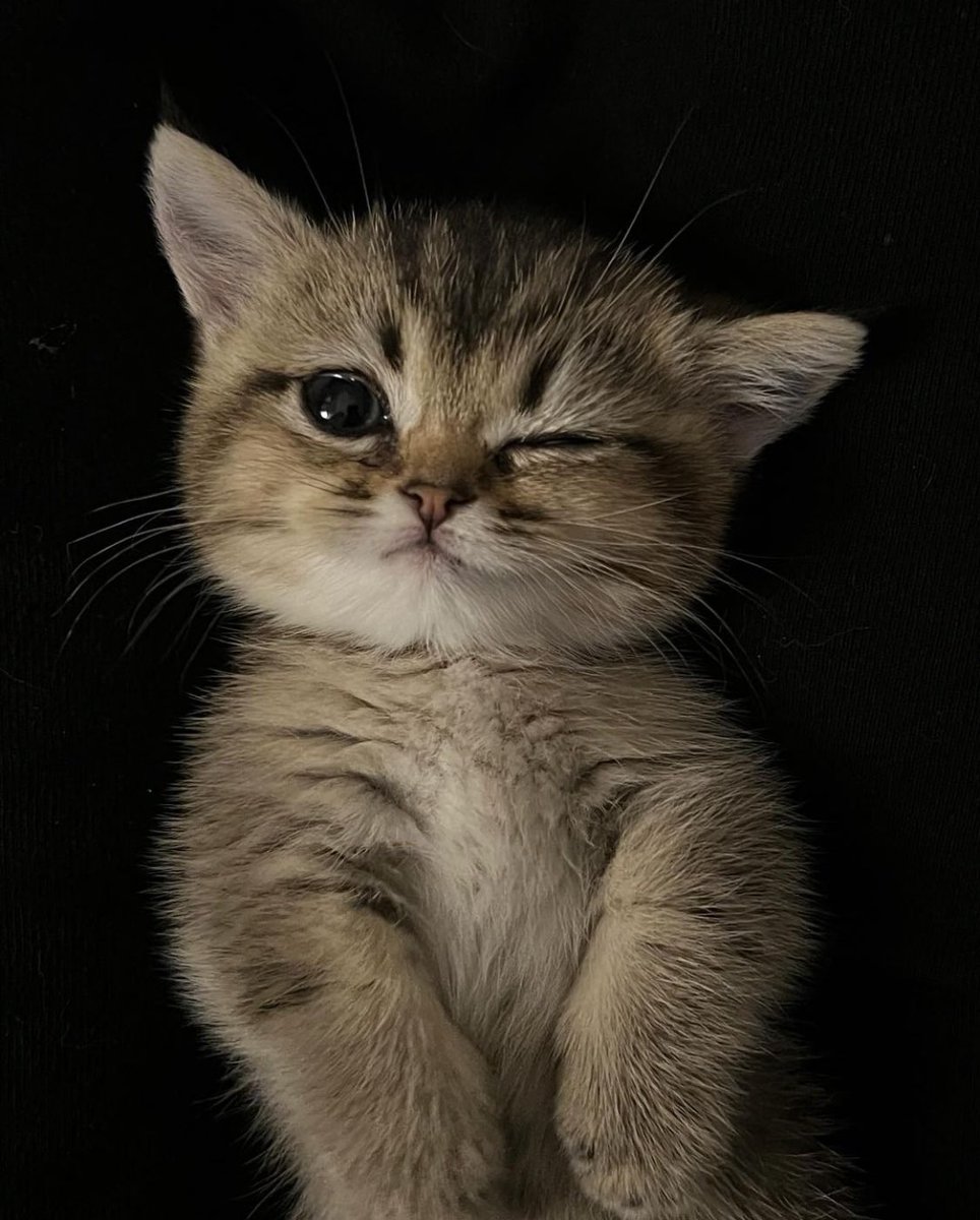 😉