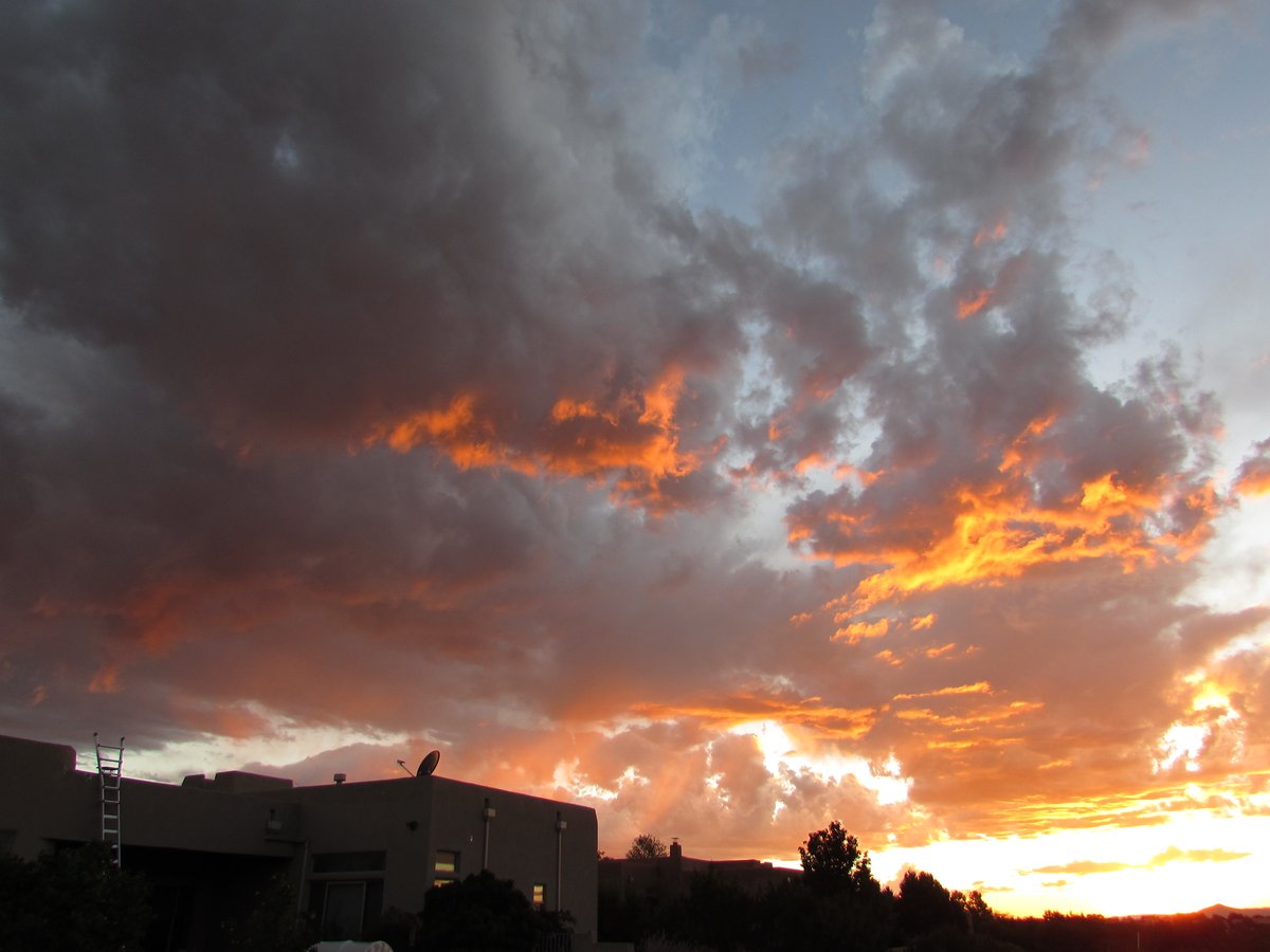 sfpl's tweet image. After the rain 

#MonsoonSeason #SantaFeNM #LandOfEnchantment