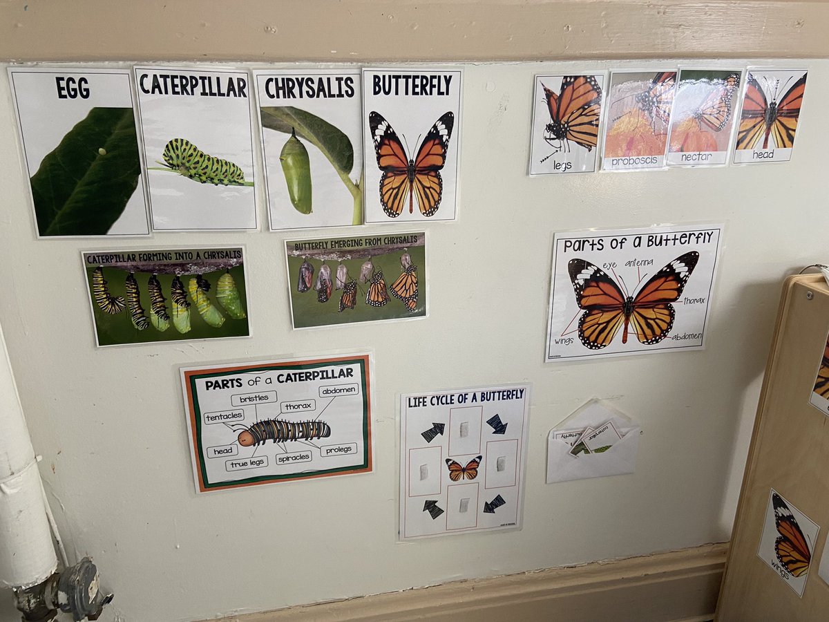 Aberdeen PS tweet media