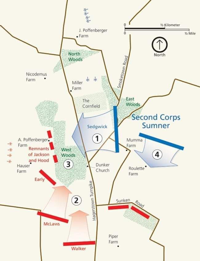 Confederates describe the fighting in the West Woods at Sharpsburg.

“Men I want you to go back on the line, and show that the stragglers of the Army of the Northern Virginia, are better than the best troops of the enemy.”
-Robert E. Lee. As Hood leads the “Straggler’s Brigade”