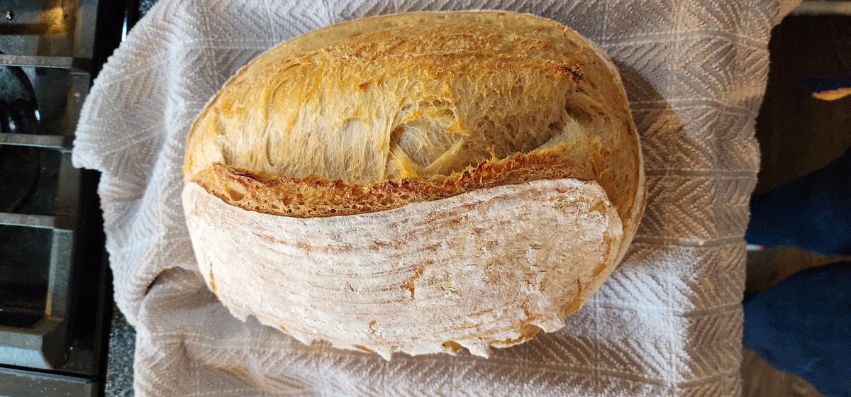 SpongeyAstro's tweet photo. I'm super happy with how much my Sourdough skills have improved.  My cultures have been thriving since Valentine's Day!  Still one of my favorite gifts to have received from hubby. https://t.co/376YwFjpiS