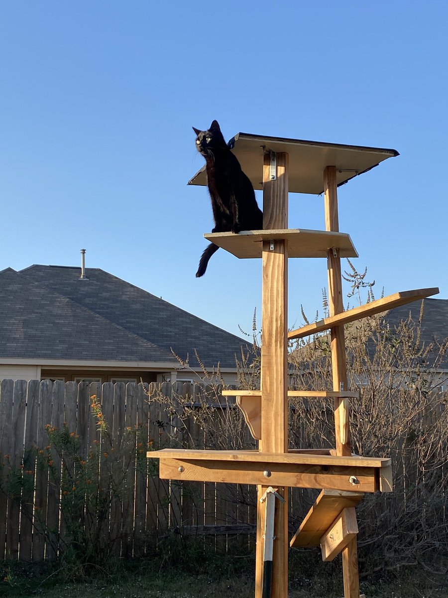 robertmcvey42's tweet image. #Iowa #Cornfields 🗳️👆🏼
Demon 💙 s corn fields