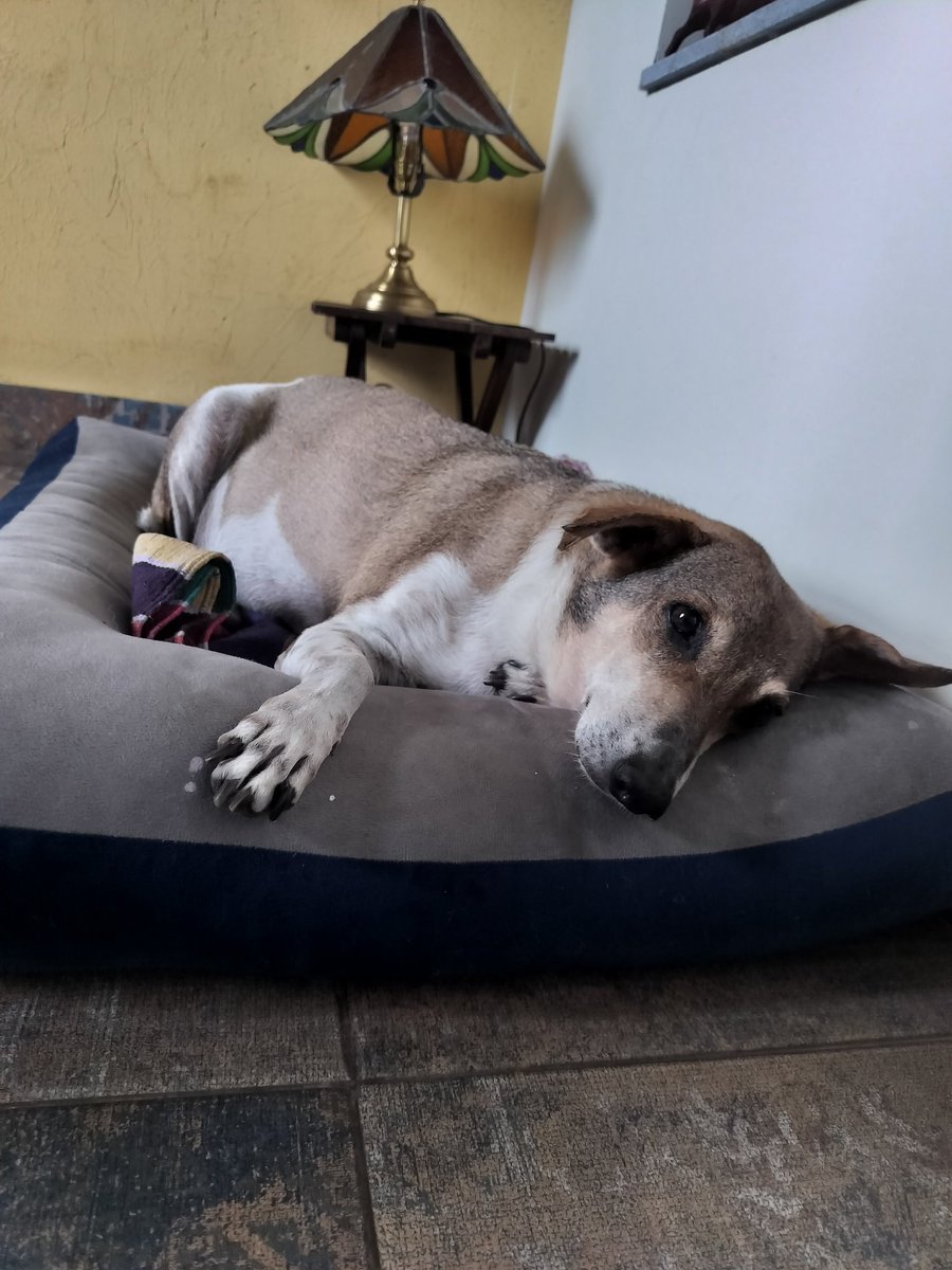 Aparna Karthikeyan tweet media