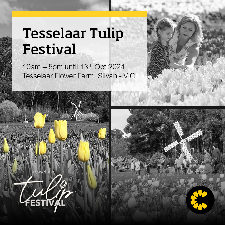coverforce's tweet image. Coverforce's Ryan Fisher enjoyed a wonderful family day out at the @TesselaarTulips in VIC, a popular annual festival hosted by a longstanding @Coverforce client. If you haven’t had a chance to visit, it’s a must-see&amp;gt;tulipfestival.com.au/festival-calen…
#coverforce #TesselaarTulipFestival