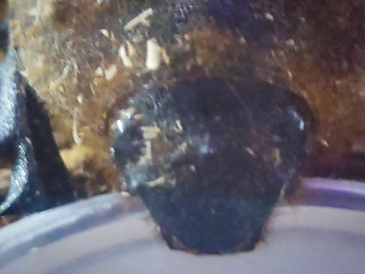 なんとも可愛すぎます🤣