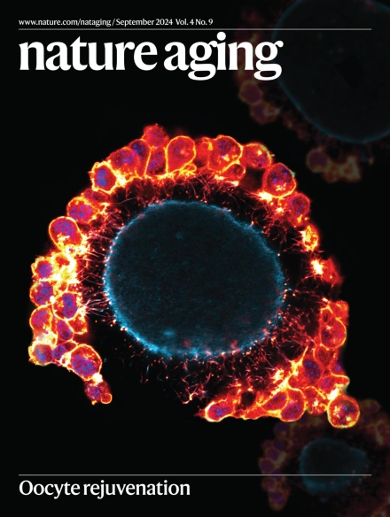 HaiYang Wang tweet media