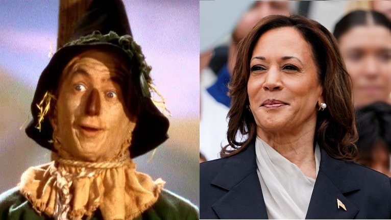 Cencalsansei's tweet photo. @atensnut Which one has a brain? https://t.co/dEDfFV3XFK
