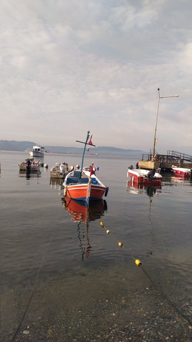 Musmutlu günaydınnnn 🌅🧚🌼