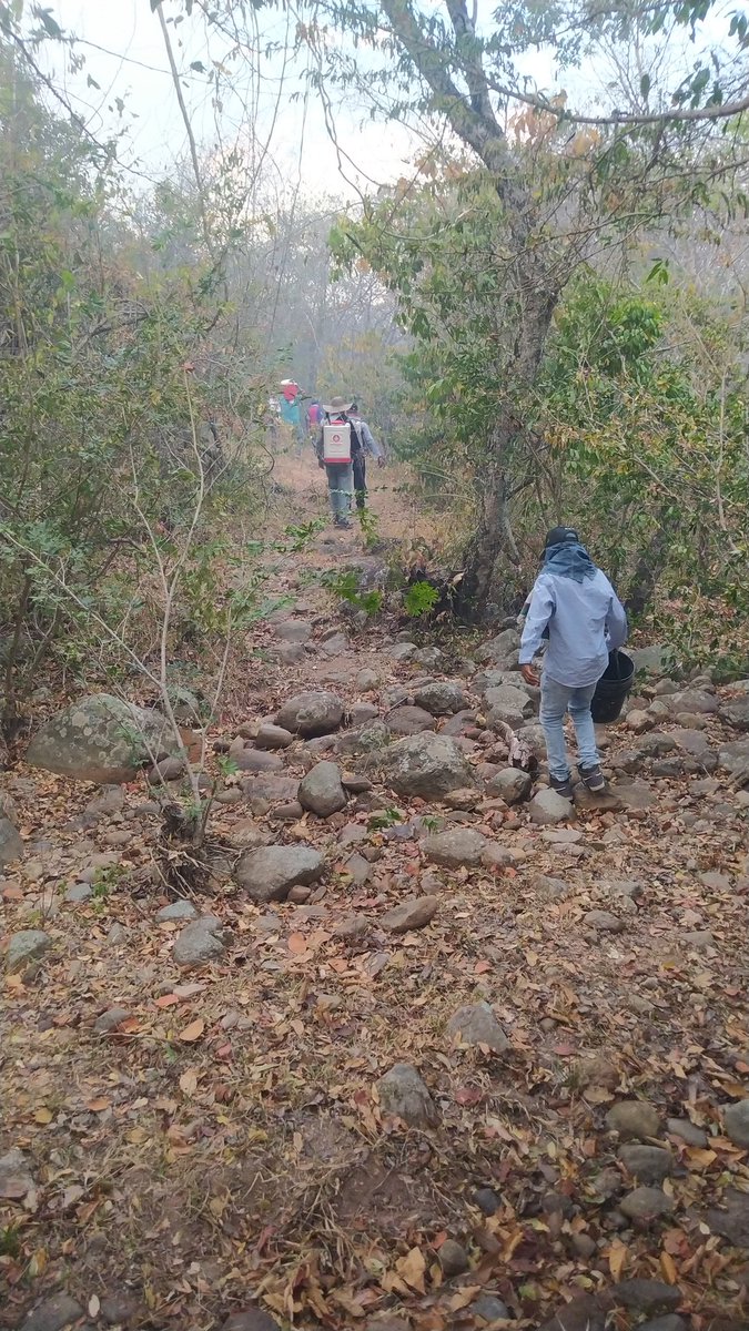 WaldinoE's tweet image. Respuesta humanitaria en las conflagraciones en el bosque seco tropical. Emergencias 2024 Natagaima Tolima.