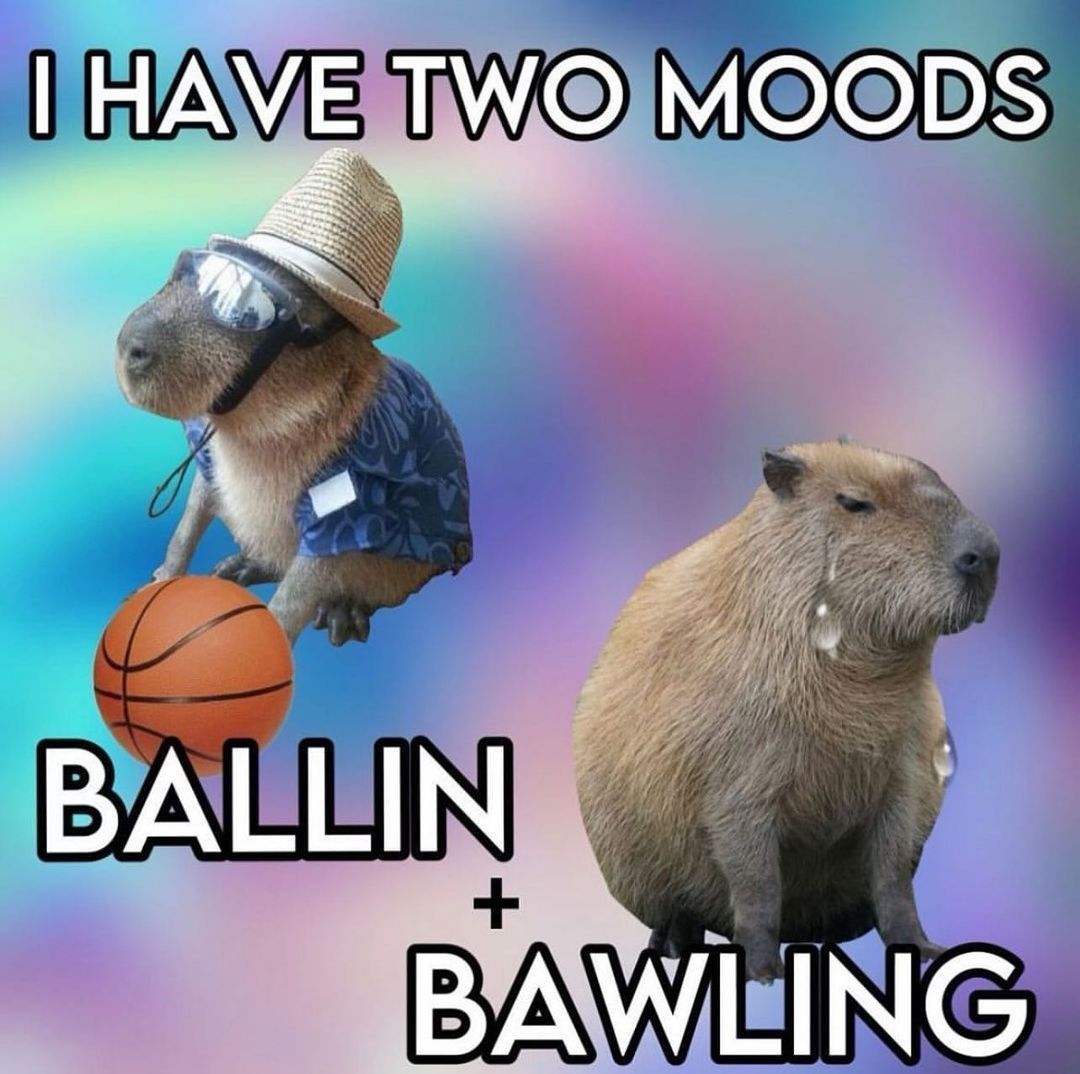 hourly_shitpost's tweet image. ㅤ