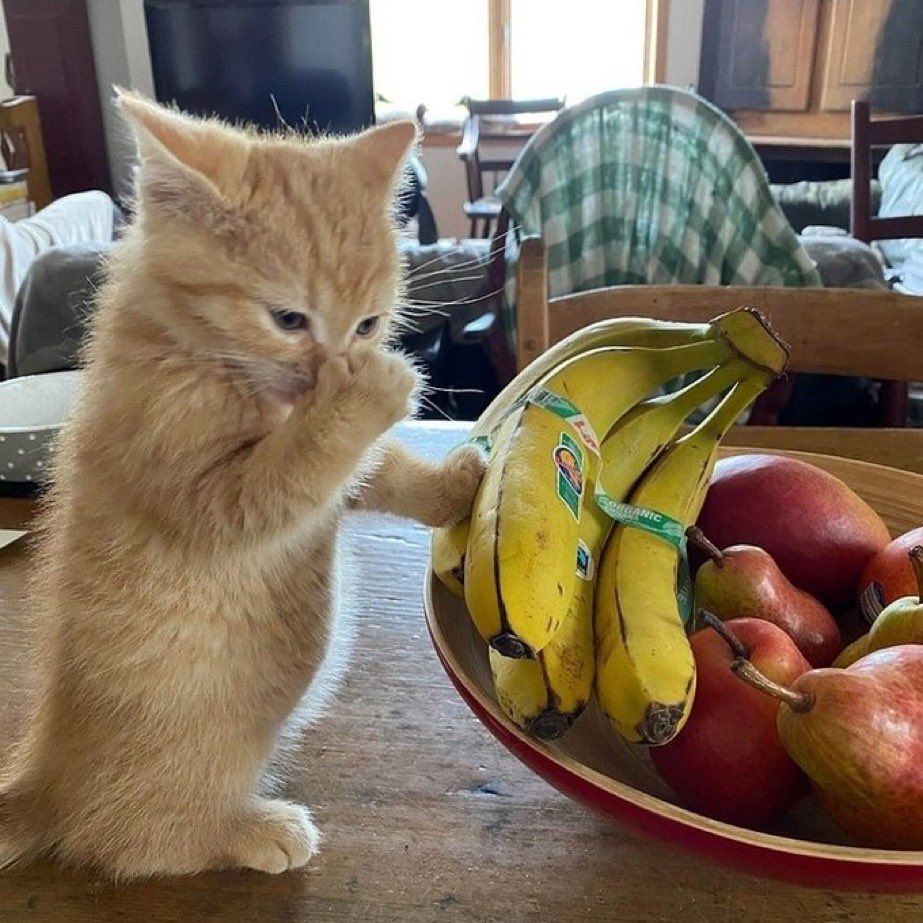 stinky banana