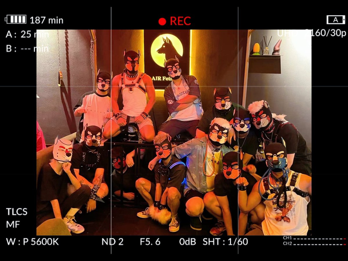 节日小聚，感谢有你们……<a href="/Arturosa123789/">狗三十</a> <a href="/BAIxiao_ong/">姜白</a> <a href="/Pup_Long/">Long_龙</a> <a href="/RD0g8/">狗小八</a> @Sadespuppy <a href="/Skeleton_Guru/">GuruSans</a> （有些不知道推号……