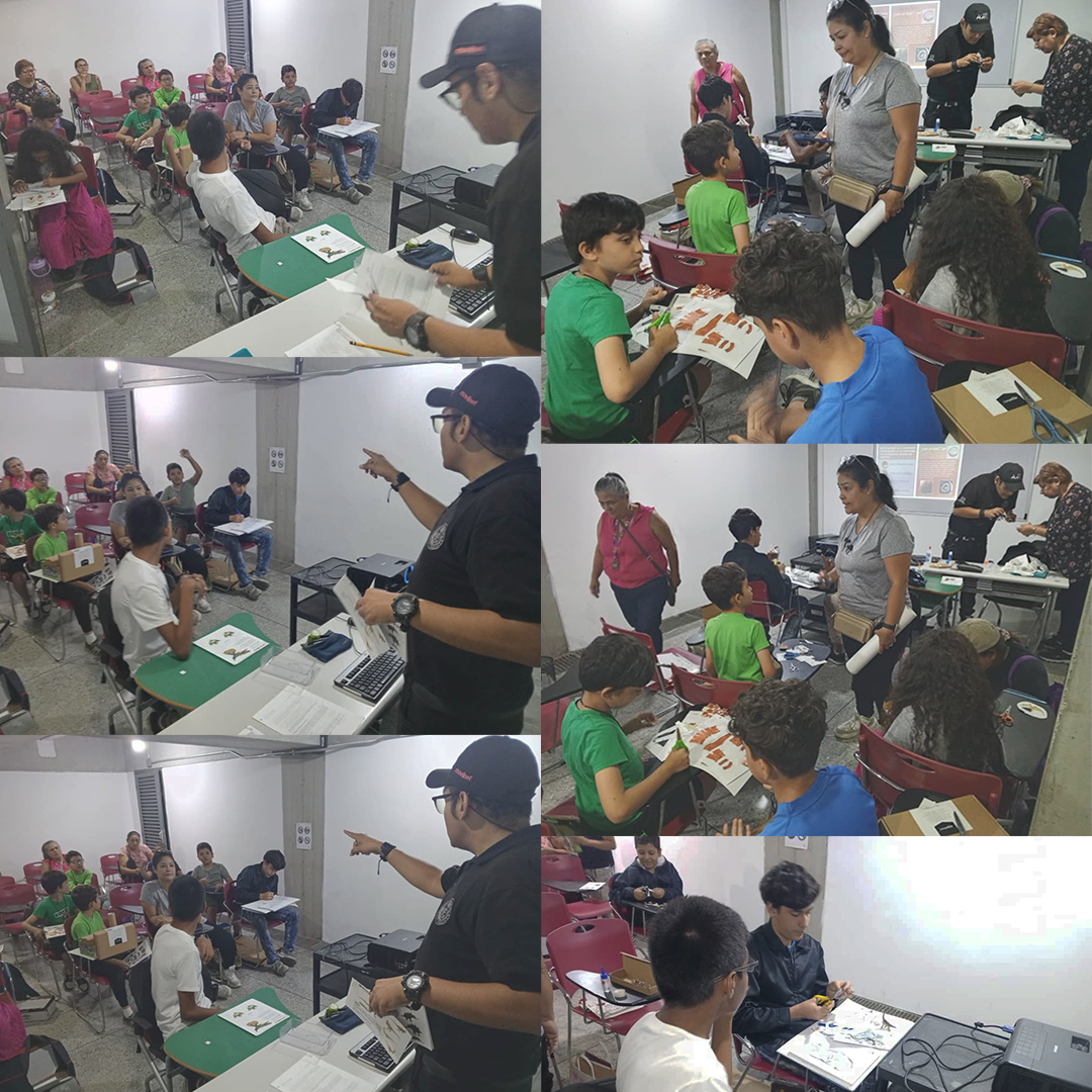 museosdevzla's tweet image. El 17 de #agosto, continuamos el #taller &quot;Recreando #dinosaurios y otros #animales #prehistóricos&quot; en la Biblioteca Los Palos Grandes de #Chacao. Este #curso trata sobre como “traer a la vida” a los fósiles a través de #criterios artísticos y científicos [instagram.com/p/C_o-3STN0sd/]