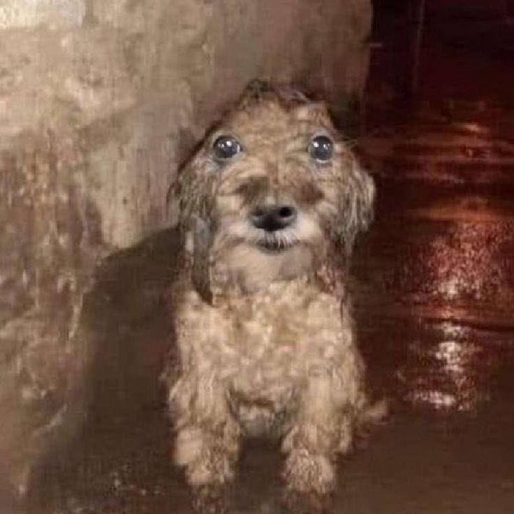 Ya denme un romance bonito