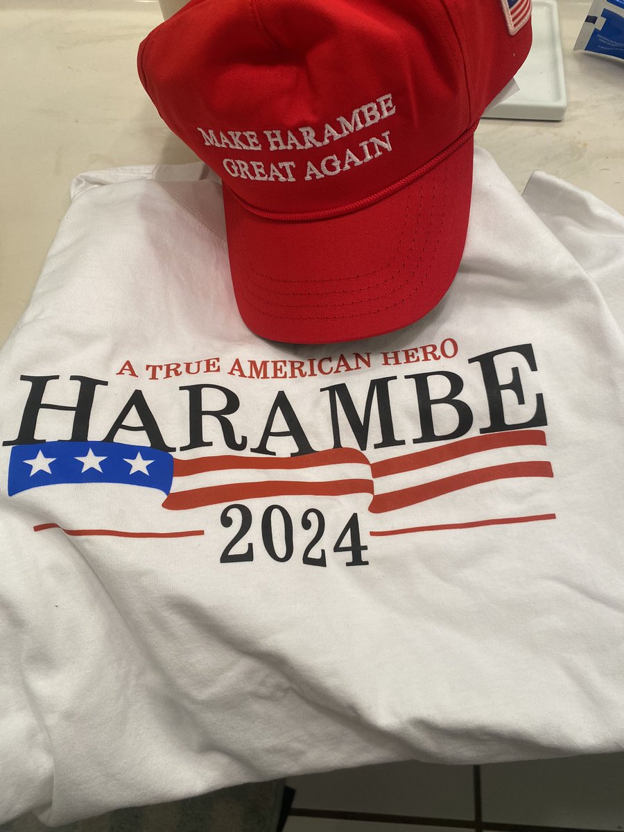 #HARAMBE FOR PRESIDENT <a href="/onyx_branding/">Onyx Capital</a>