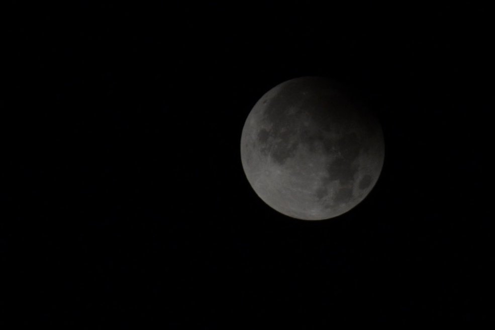 #LunarEclipse #luna #moon #Eclipse2024 #EclipseLunar #Moonshot2024 #eclipselunarsevilla #eclipselunardesdeespaña