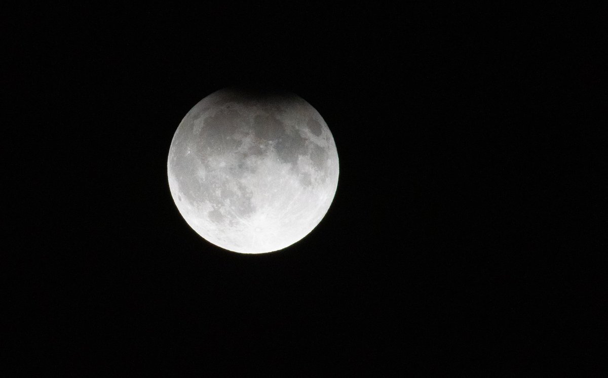 mrophiophagus's tweet image. Partial Lunar eclipse seen from Fargo, North Dakota #Eclipse2024