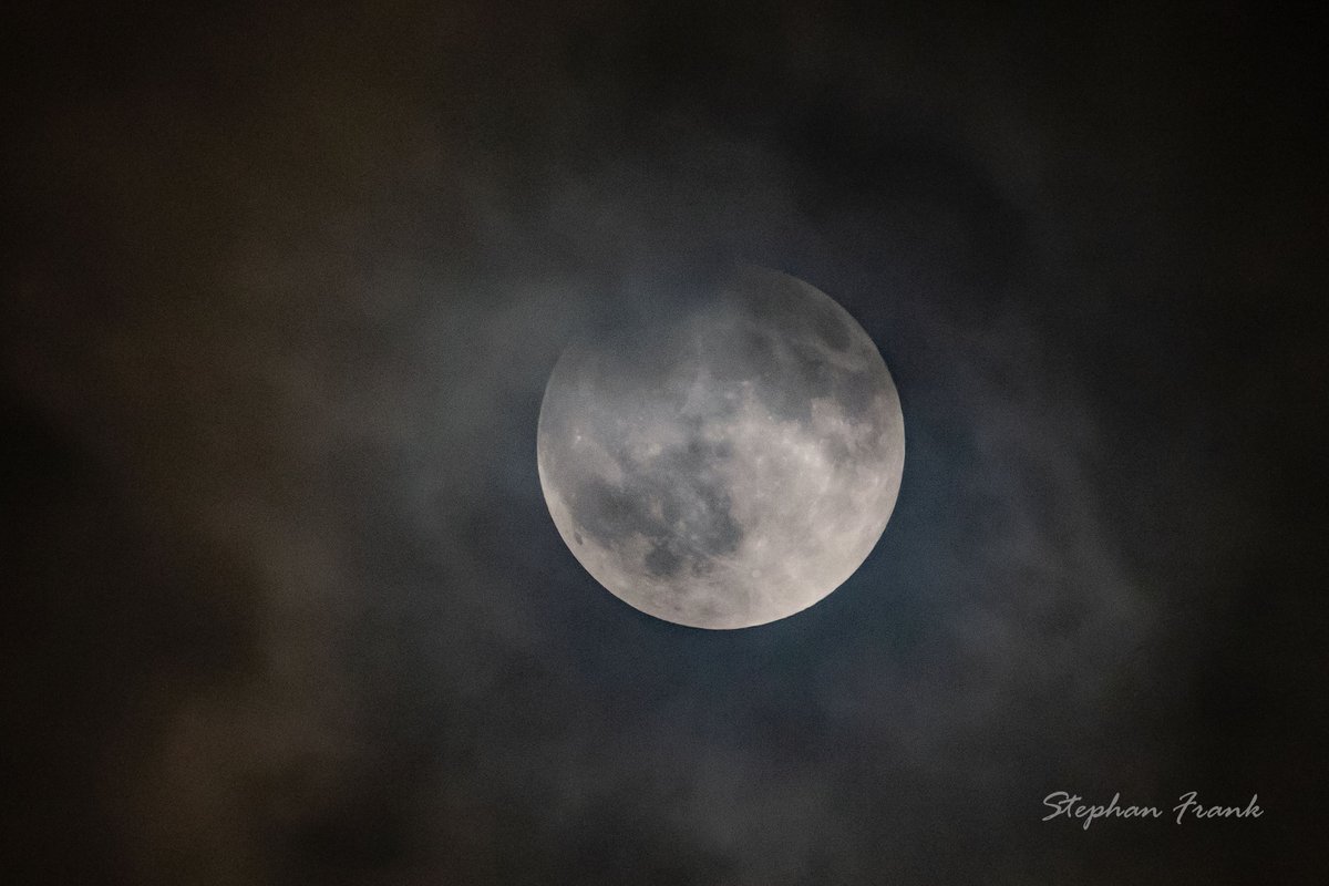 Stephan Frank tweet media