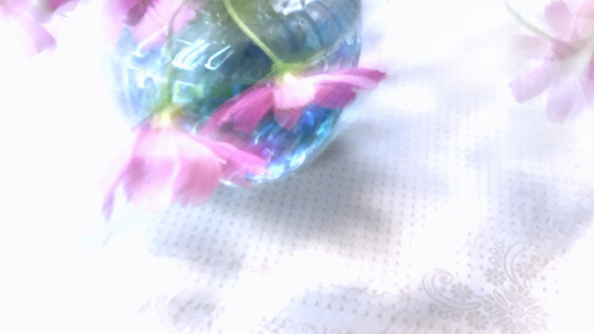 1yottan's tweet photo. みんなのフォトギャラリー✳︎ #51-写真/イラスト✳︎秋桜〜コスモスその2〜|1yottan #note https://t.co/QVIcZoQUWM #ファインダー越しの私の世界 #worldoverfinder #izufantasy #1Yo #魔女のお茶会 #1yottanrecipe #コスモス #みんなのフォトギャラリー #秋桜 #伊豆 #花 #ピンク #写真加工 https://t.co/selfVhcFu2