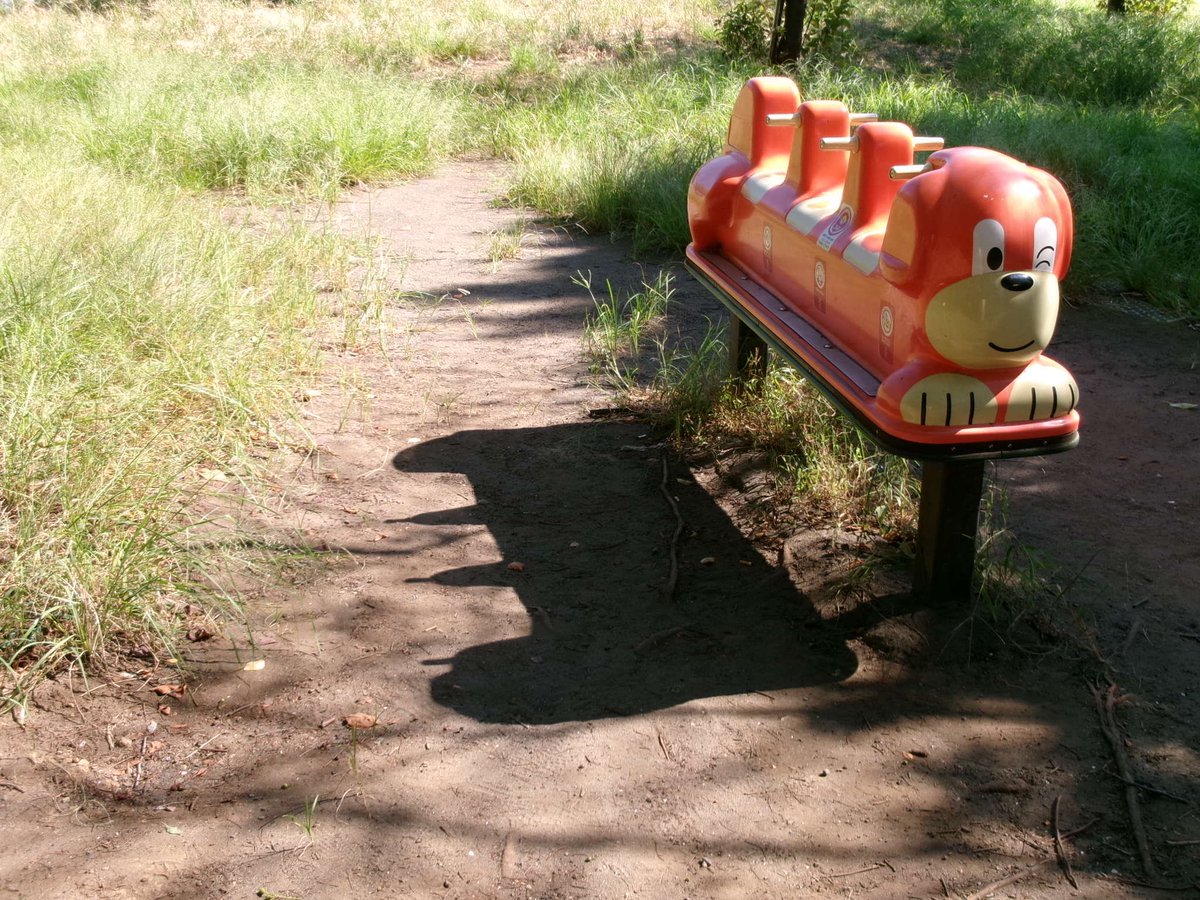 Paru__Design's tweet image. 最近また撮るのたのしいな
ファインダーが見にくいカメラを使ってレタッチ無しで、なるべく世界をコントロールできないように撮るのが好き