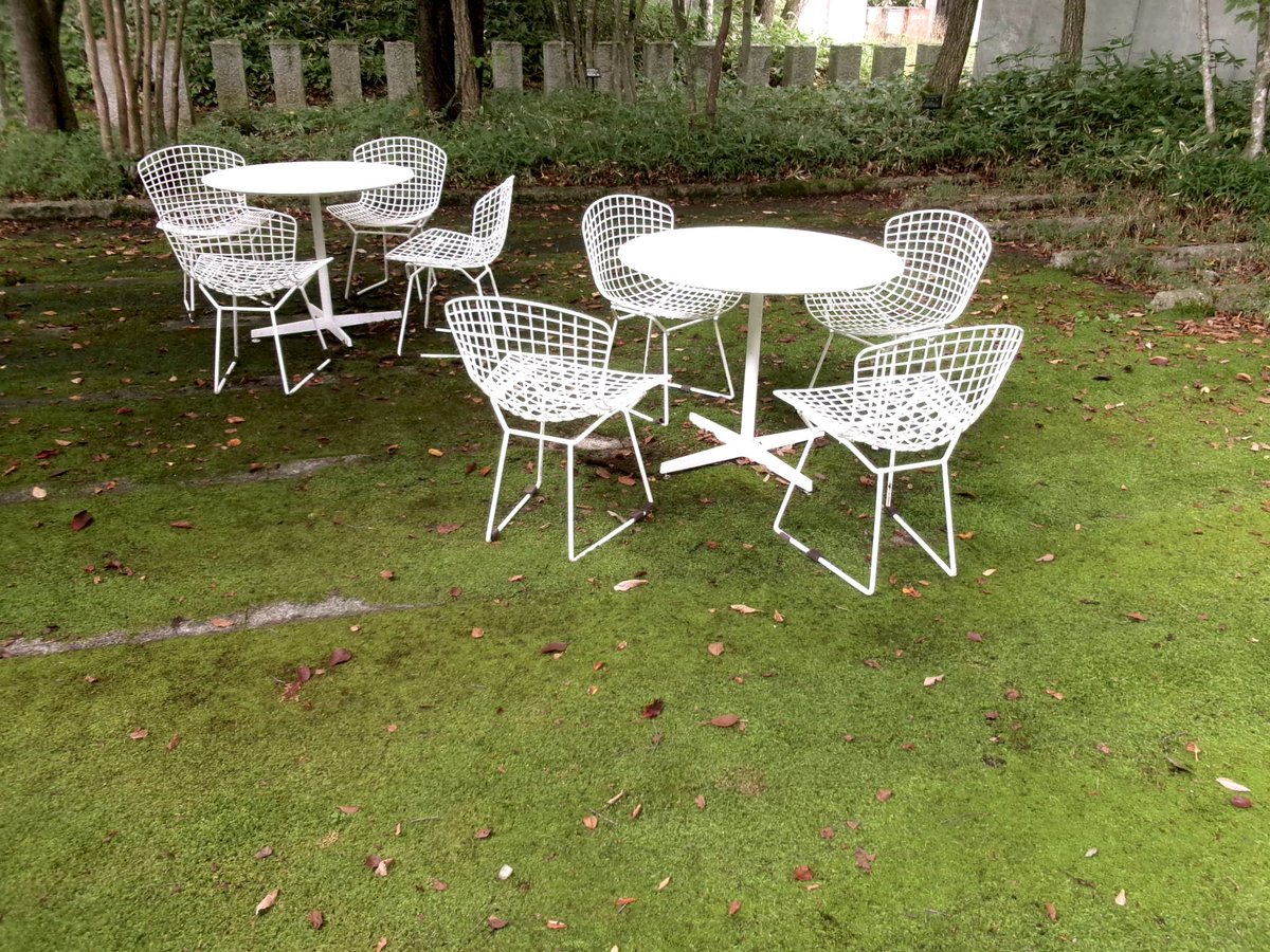 Paru__Design's tweet image. 最近また撮るのたのしいな
ファインダーが見にくいカメラを使ってレタッチ無しで、なるべく世界をコントロールできないように撮るのが好き