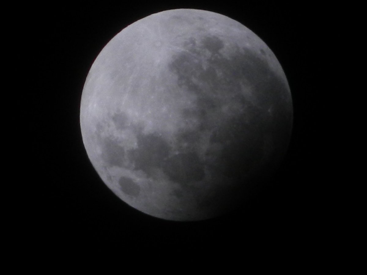 jaime_monto's tweet photo. #Eclipse2024 https://t.co/L0A5BlQRWk